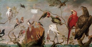 鳥の演奏会 フランシス・スナイデルス（スナイデルス）（1579-1657）の絵画 17世紀 マドリッド、プラド美術館
