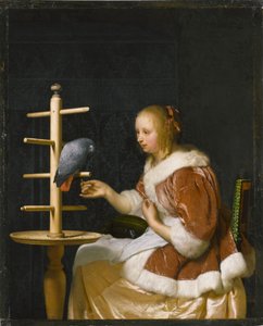 オウムに餌をやる若い女性、1663年。 作： Frans van Mieris the Elder
