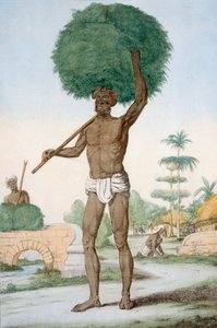 ヒンドゥー教の召使いが草を刈る、「ヒンドゥー教徒、または彼らの作法、衣装、儀式の説明」、c.1808-12（カラーエッチング）