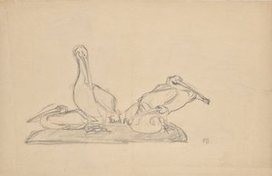 ペリカンの群れの下書き 作： Franz Barwig d. Ä.