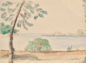 フロリダの海岸(?) 作： Franz Barwig d. Ä.