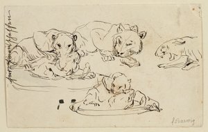 うなるスンダパンサー 作： Franz Barwig d. Ä.