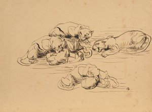 うなるスンダパンサー 作： Franz Barwig d. Ä.
