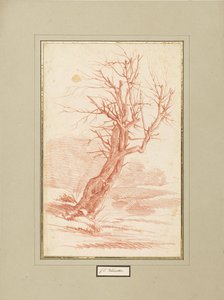 樹木研究 作： Franz Edmund Weirotter