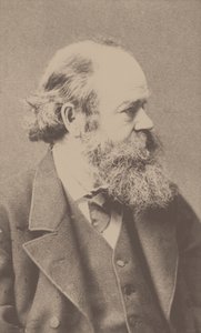 作曲家ロバート・フォン・ホルンシュタイン1833-1890の肖像。 作： Franz Hanfstaengl