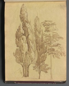 ローマとその周辺の景色を含むアルバム、Landscape Studies、15a ページ: 木 作： Franz Johann Heinrich Nadorp