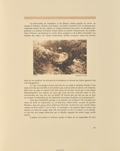 ソロ花の栗の木