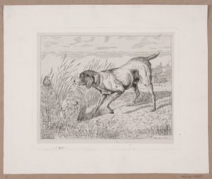猟犬 作： Frede Aamodt