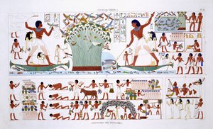 フレデリック・カイヨー（1787-1869）、カラーリソによるエジプトへの2回目の訪問で、1819-1822年に記録されたテーベからのフレスコ画のまれな記録から、死者のために食べ物を準備する