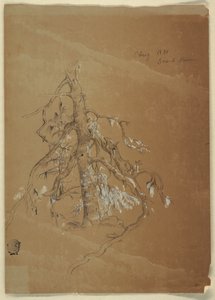 節くれだった常緑樹、グランドマナン、カナダ 作： Frederic Edwin Church