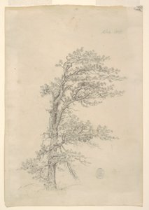 ピッチパイン 作： Frederic Edwin Church