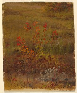 植物学 作： Frederic Edwin Church