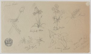椅子と草花、バールベック 作： Frederic Edwin Church