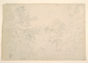 水辺の栗の木 作： Frederic Edwin Church