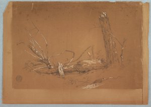 デッサン《折れた枯れ木》1855-65年