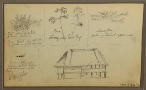 ドローイング、砦；裏面：植物スケッチ、家、1857年 作： フレデリックエドウィン教会