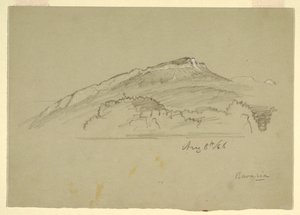 素描「バイエルンの木」1868年8月8日