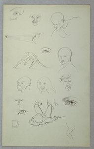 素描、解剖学的研究、1865-70年 作： フレデリックエドウィン教会