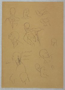 素描、解剖学的研究、1865-70年