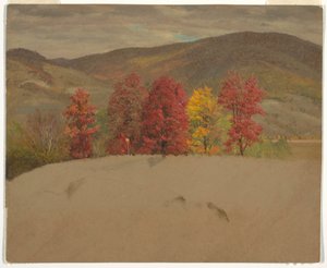 ドローイング、ニューイングランドの秋の風景、1865年10月撮影