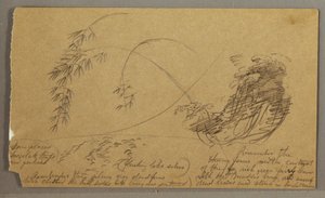デッサン、竹のような小枝、おそらく1865-66年 作： フレデリックエドウィン教会