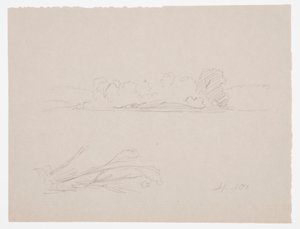 素描、植物スケッチ：風景、海岸の木々、1876年9月 作： フレデリックエドウィン教会