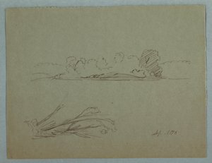 素描、植物スケッチ：風景、海岸の木々、1876年9月 作： フレデリックエドウィン教会
