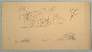 デッサン、植物スケッチ：木、海岸の木々、1876年9月