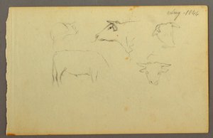 素描、牛、1844年 作： フレデリックエドウィン教会