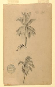 ドローイング、素描。  スケッチ2点。  手のひら、1857年 作： フレデリックエドウィン教会