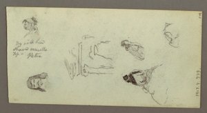デッサン、人物研究、リッジ、1868年頃か 作： フレデリックエドウィン教会