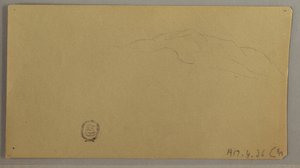 ドローイング、草花、1856年頃 作： フレデリックエドウィン教会