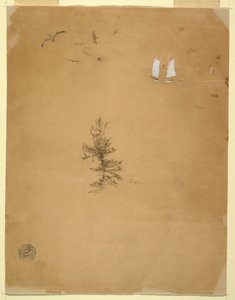 素描、カモメ、帆船、木、1859年8月と9月 作： Frederic Edwin Church