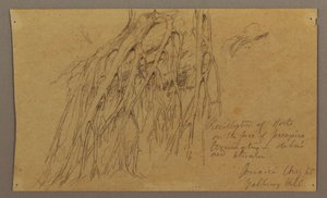 ドローイング、ゴールウェイ・ヒル、1865年8月