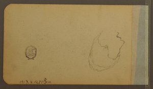 ドローイング、ヒルズ、裏面：頭部、1889年