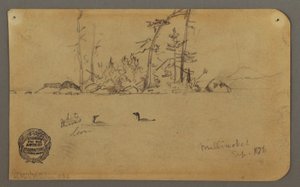 ドローイング、島、2羽のハシビロコウ、1878年