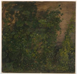 ドローイング、ジャングル植生、1865年 作： Frederic Edwin Church