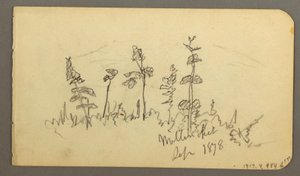 ドローイング、カタディン山を望む湖、1878年