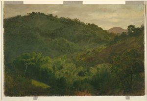 ドローイング、ジャマイカの風景、西インド諸島、1865年