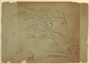 デッサン、木と小川のある風景、グランド・マナン島、カナダ、1851年9月