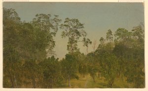 素描、風景、1865年7月