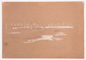 ドローイング、ミリロケット近くの湿地帯の風景、1878年9月20日