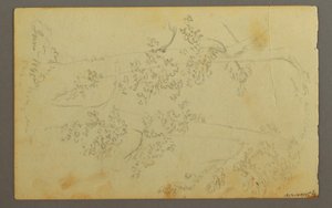 ドローイング、木々に囲まれたミル、1845年 作： フレデリックエドウィン教会