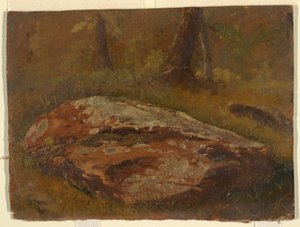 ドローイング、モッシー・ロック、1845年8月
