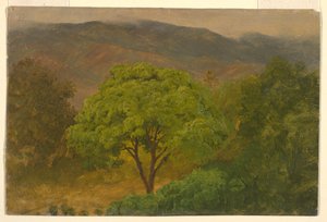 デッサン、山の風景、1865年8月