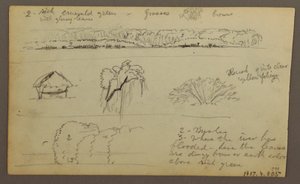 デッサン、「グアヤキルに入る」山脈、裏面：川岸、植物スケッチ、1857年頃か 作： Frederic Edwin Church