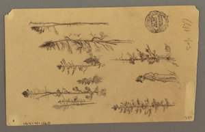ドローイング、山頂、1877年 作： フレデリックエドウィン教会