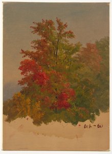 デッサン（1860年10月、メイン州マウント・デザート・アイランド？