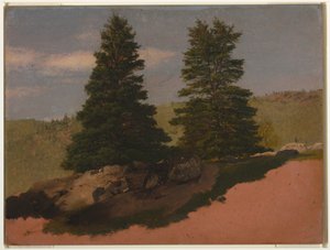 素描《ニューイングランドの風景（2本の松の木）》1850年