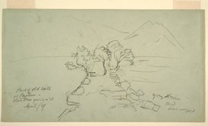 図面、パエストゥムの古い壁の一部、オリーブの木が生えている、1869年4月 作： フレデリックエドウィン教会
